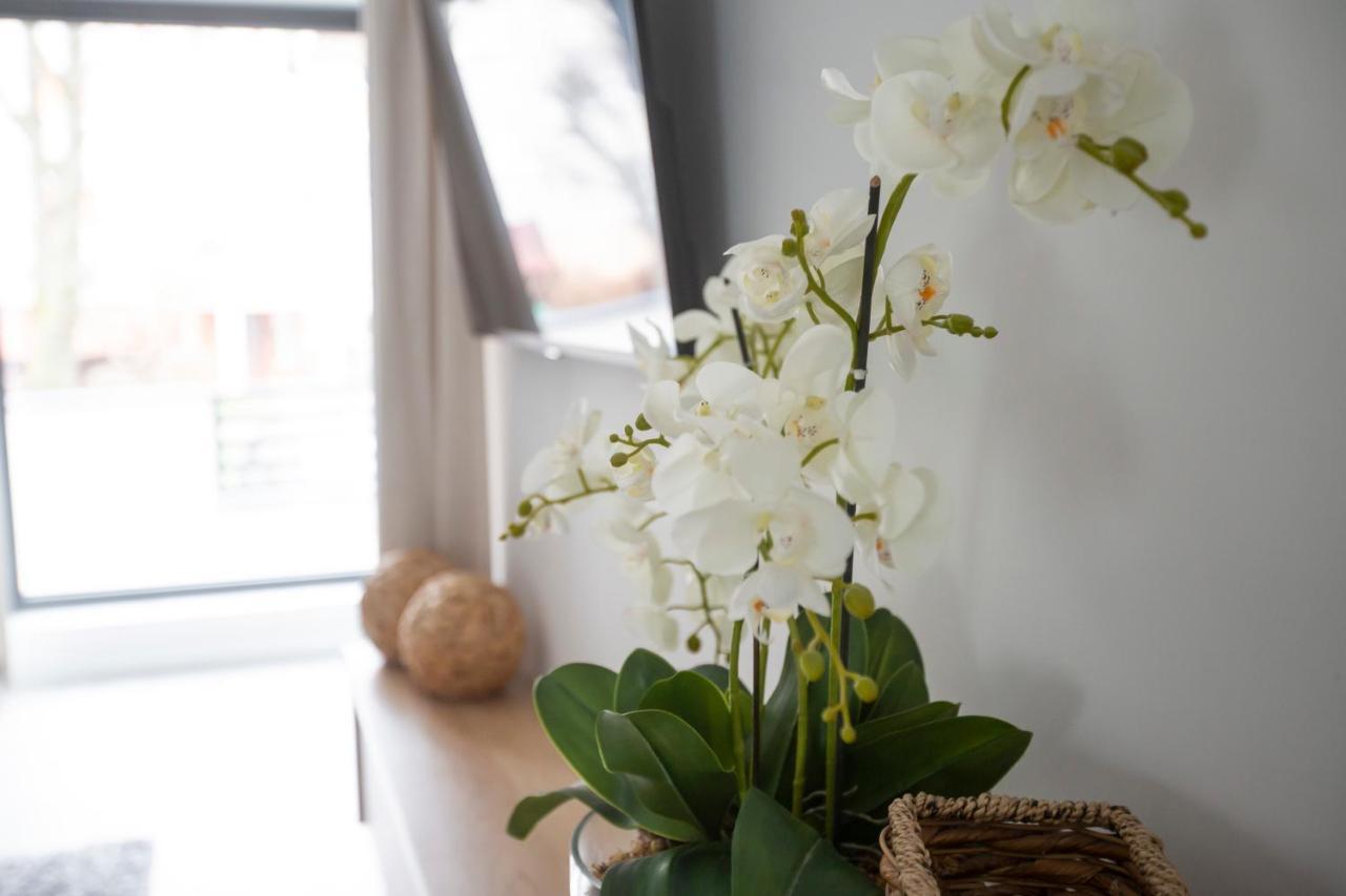 Apartament Apartament Koszykowa Ełk Zewnętrze zdjęcie
